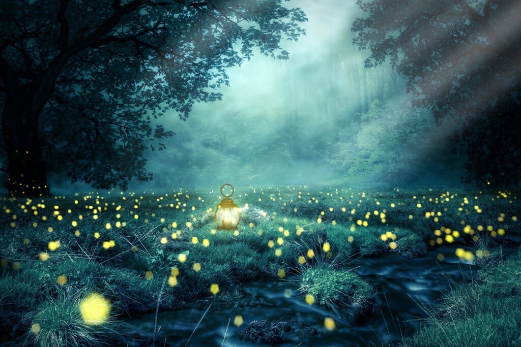 Seeing the Light in the Darkness